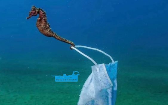 La crisi ambientale e quella sanitaria in un’immagine